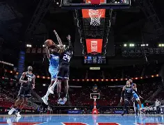 关于萨克拉门托国王训练开放日，今夜手感冰凉引欢呼，荷甲在即，纪律约束更严格的信息